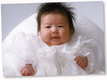 ���{�Q��